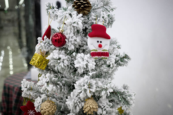 螣蛇科（kē）技