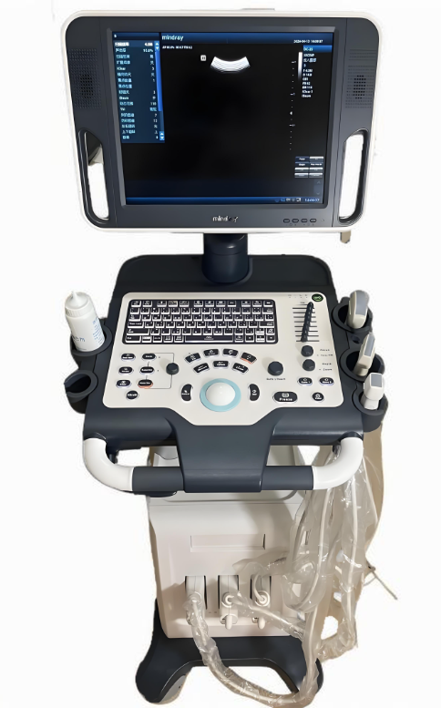 香蕉视频app在线下载